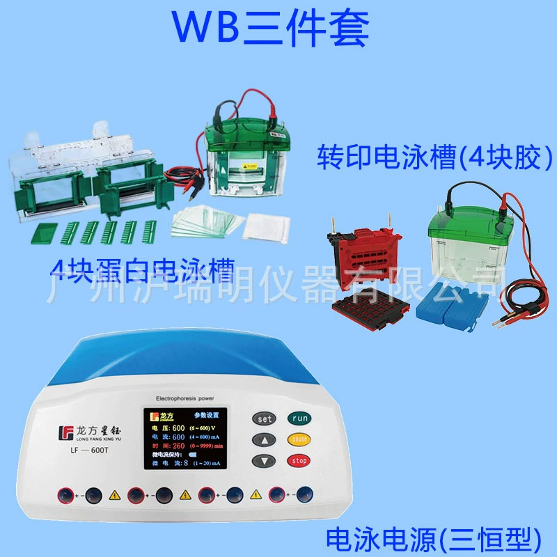 Набор из трех емкостей для электрофореза LF-600T+Mini4+ZY04, лабораторное электрофорезное оборудование Longfang Xingyu