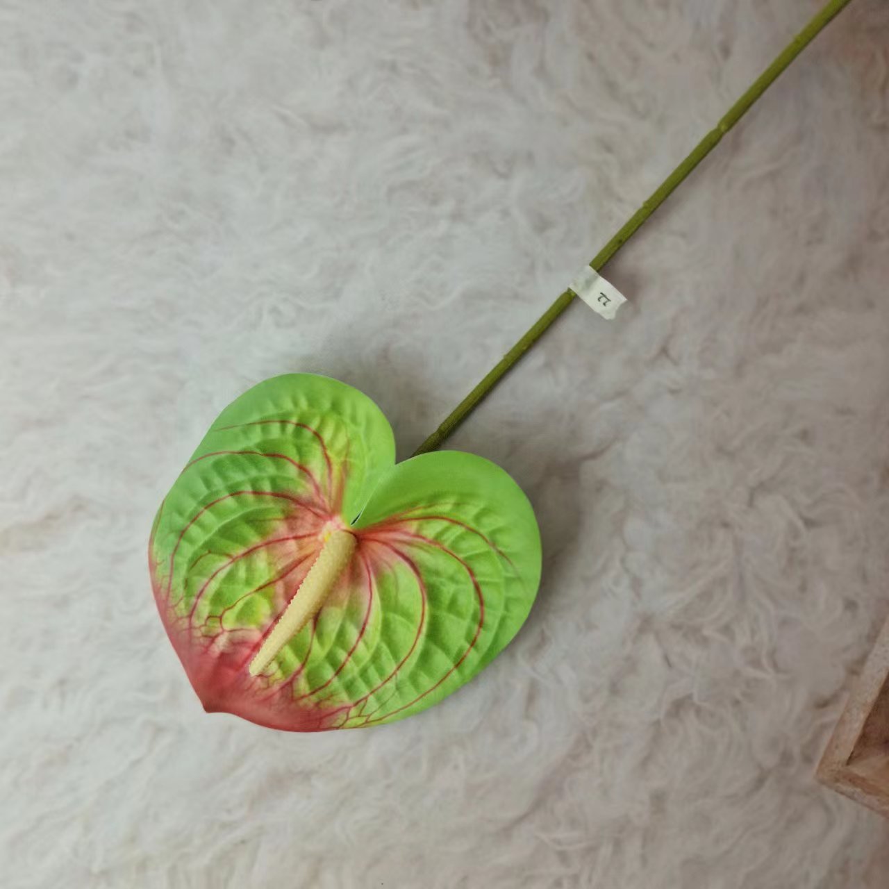 그린 5호