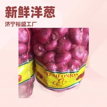 定制出口洋葱，新鲜洋葱，出口红洋葱，洋葱头，新葱，红皮洋葱