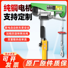 微型電動葫蘆220v家用裝修吊機提升機0.5噸1t卷揚機升降起重機