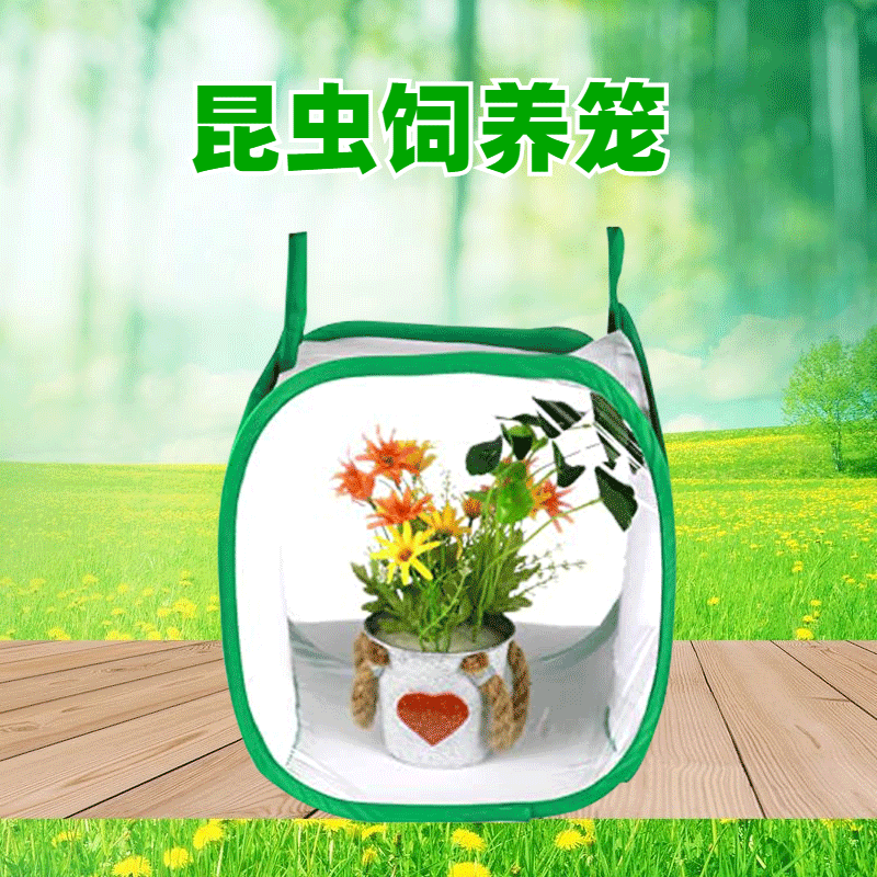 children outdoors explore insect Raise insect butterfly Perch Spring steel wire Telescoping Jacobs
