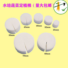 无土栽培定植棉蔬菜固定海绵水培菜吸水海绵种菜固根大棚种菜海绵