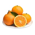 四川爱媛果冻橙新鲜爱媛柑橘5斤9斤当季水果38号果冻橙一件代发