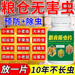 食糧防虫片の食糧倉庫は家庭用デパートに保存されています。