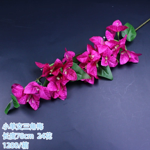 Small Single-Purple Red