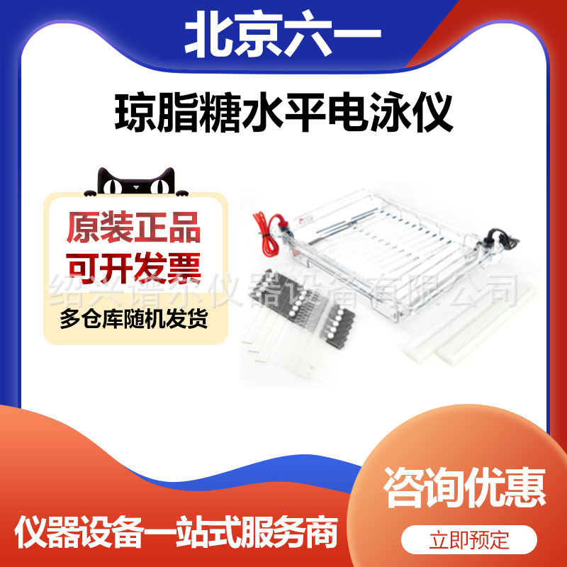 北京六一DYCP-32C型琼脂糖水平电泳仪(大号)