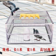 鸽神器抓鸽子笼全自动只进不出天落笼自动跳门撞门笼鸽子用麦太保