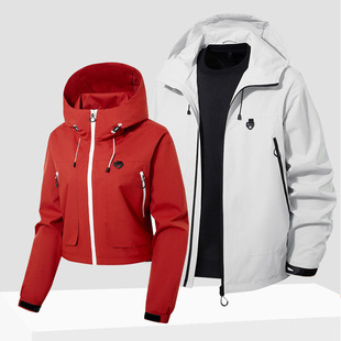 �羳2025�����¿���H�_�h�����e�Bñ�A����ʿ�ɲ�жñ�����ˮ��