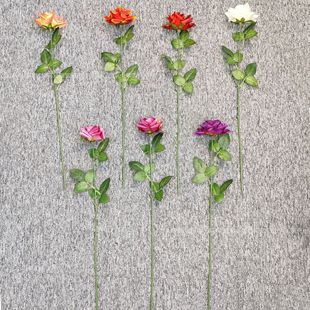 ����õ�廨��֧�tõ���õ��������õ���c�û��Ҿ��b߼�����