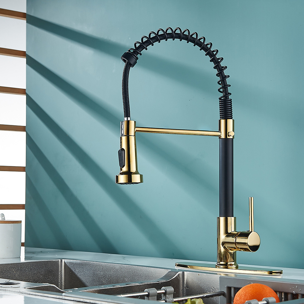 Grifos de cocina de primavera de doble función negros transfronterizos caliente y frío giratorios universales lavabo de verduras lavabo a prueba de salpicaduras