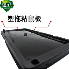 绿叶塑托型粘鼠板粘鼠板板粘沾鼠GL1006