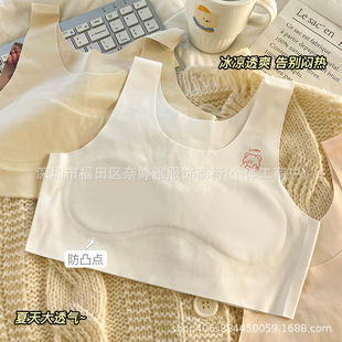 7-14 Years Old Girls' Underwear Primary School Junior High School Developmental Vest Ice Silk Traceless Underwear Girls' Summer Thin Bra