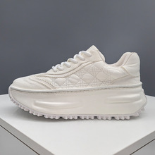 Wվ߼Ь2024ﶬ¿ƤϵЬ\eƤЬ