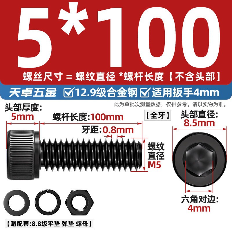 Болт Tianzhuo Wujin M5x100