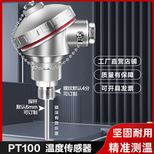 żpt100ضȂKzbK̽^һwض׃