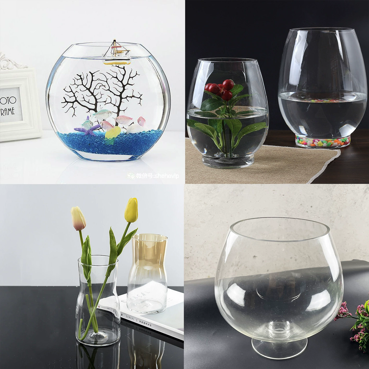 Микро пейзаж гидропонная ваза Настольный Дракон яйцо экологический аквариум ваза винный стеклянный цветочный горшок прозрачный круглый стеклянный шар золотой рыбки