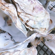 ��Ȼ�⠝�b�򺚤�V���\���~�؃���ˮ�|��򺚤�д����~�؞V��򺚤