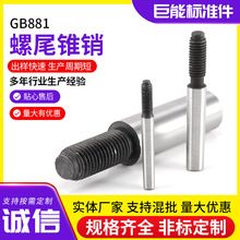 �ݼy�N�A�F�N�ӏS�����lGB881���ݼy�A�F�N ��β�F�N�ӹ�