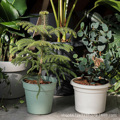 ユニバーサルプラスチック植木鉢霍倫標準鉢草植木鉢バラ月季果物野菜栽培鉢多肉鉢育苗鉢