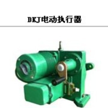DKJ-210电子式电动执行器 DKJ-2100转角型