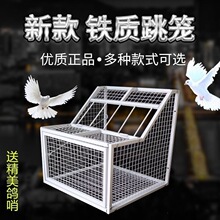 鸽子跳笼进出门进出口新款跳台不锈钢赛鸽训放笼赛鸽信鸽用具标准