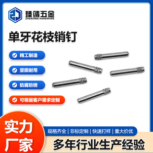 ���Ɔ�����֦�Nᔴ껨�S���S����S�A���N�304���P䓝L����λ�N