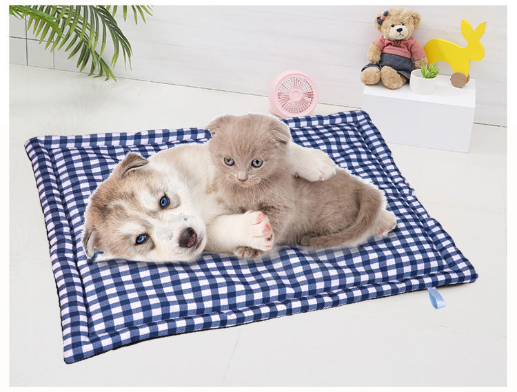 3c81487e-5258-4e47-bfa3-fca7b43bd4b2.jpe