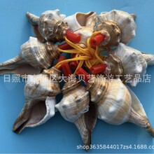 ��Ȼؐ�����ں�����̖��ˇƷ�ؔ�؛��ͯ������l���ξ��c�S�����l