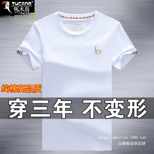 ��ľ�B���b����t����ʿ���|�A�I�ļ���ɫ���ɴ̽��w������������