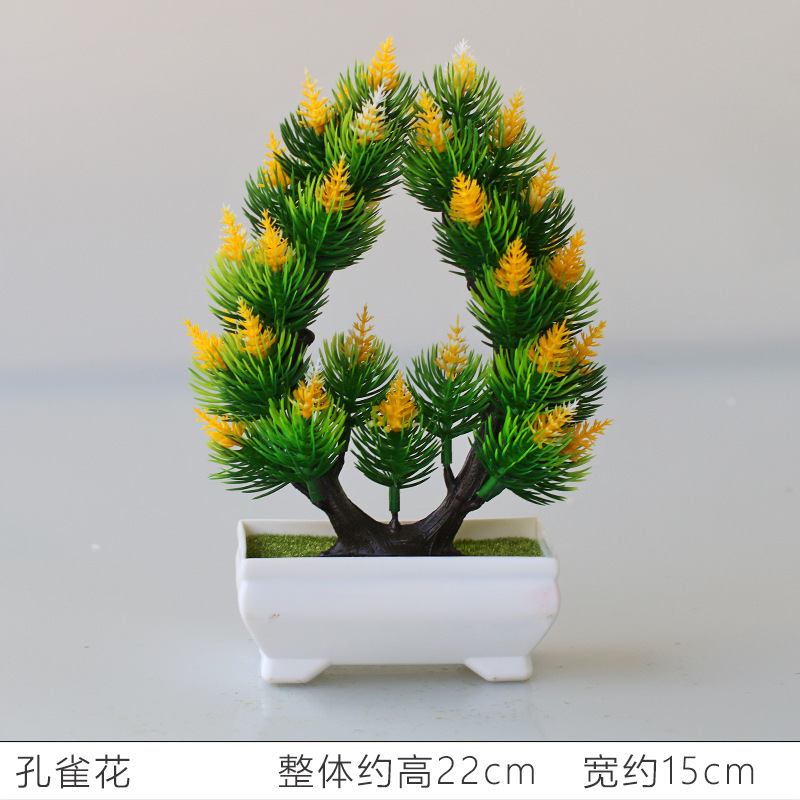 孔雀花黄色