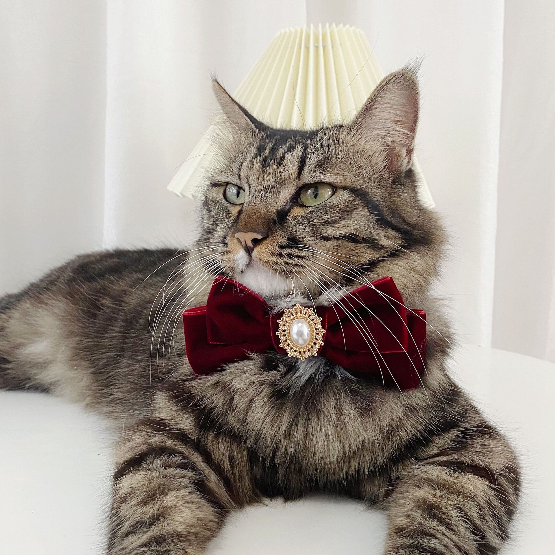Perros de mascotas muñecas gatos seda arco perlas taladro retro anti-asfixia collar corbata accesorios de fiesta cumpleaños