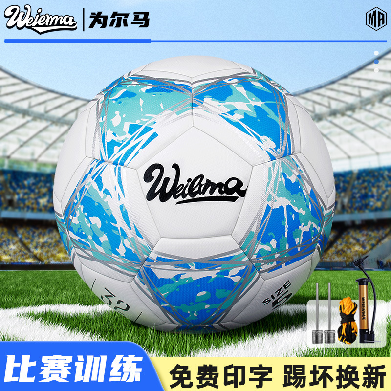 Weerma Football Youth Kindergarten Children's School No. 5 Leather Wear-Resistant Training Ball