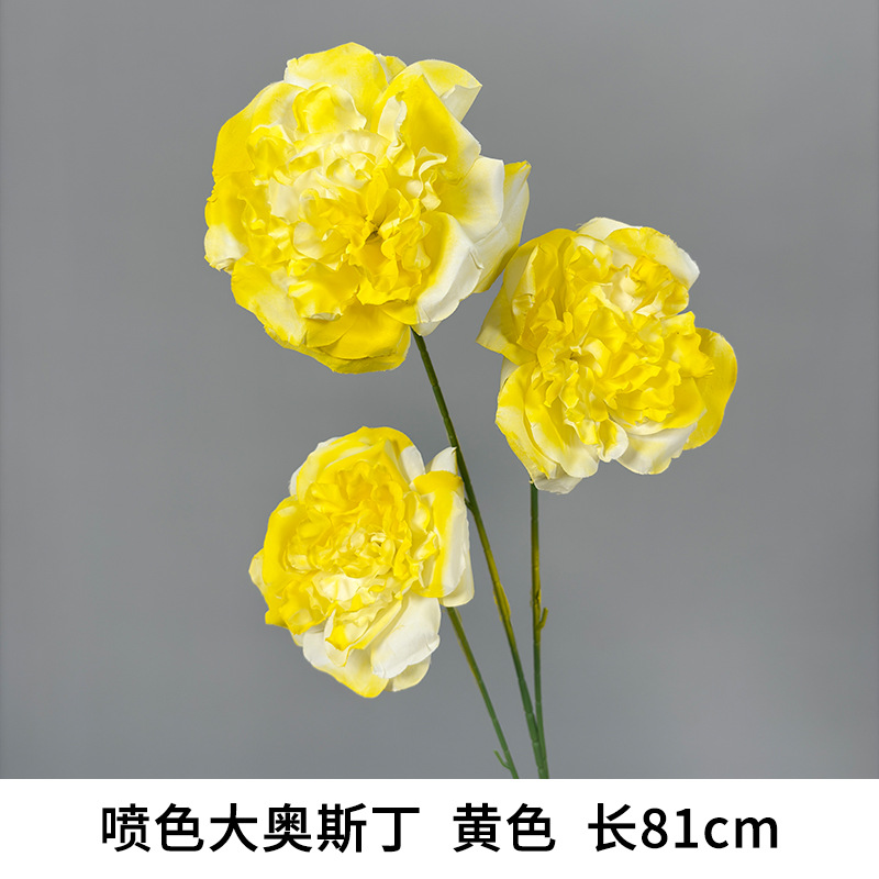 스프레이 컬러 빅 오스틴