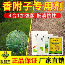 香附子除草套装强效升级版四合一新配方滁异形莎草科除草剂