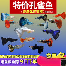 ��ȸ�~С�~�Ꭷ�~ȫ�N�������B�^�p�~С�͵�ˮ�~����~����