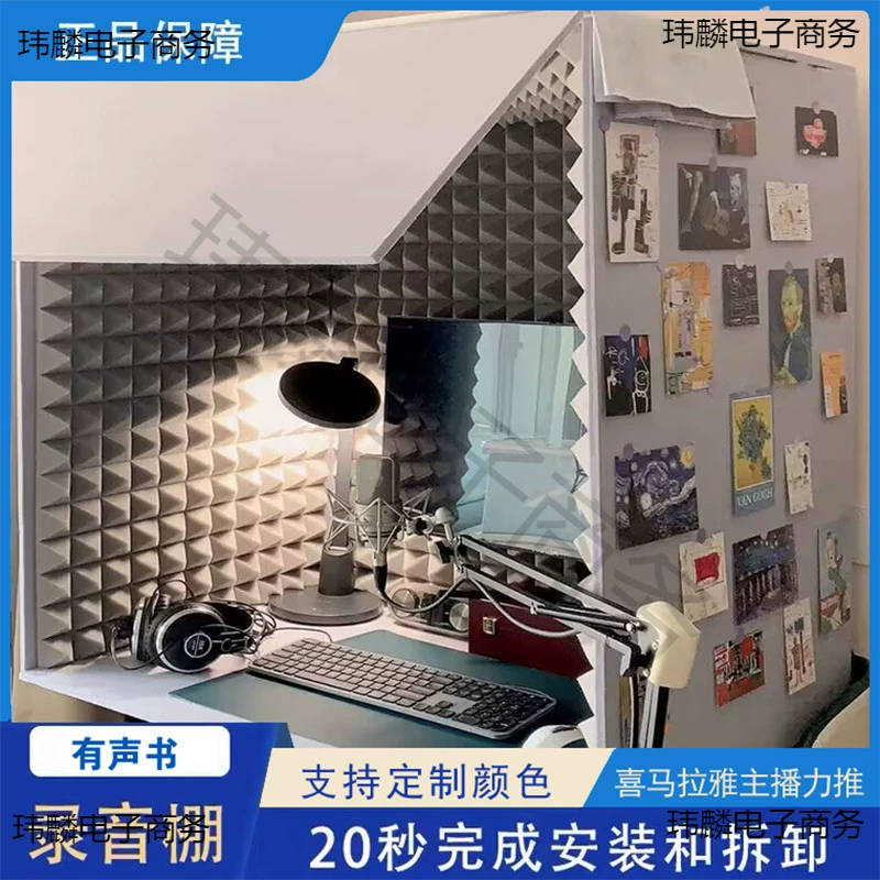 Простая домашняя звукозаписывающая студия для аудио-ведущего, звукоизолированная комната для удаления реверберации, профессиональная студия звукозаписи Himalayan Audio Book.
