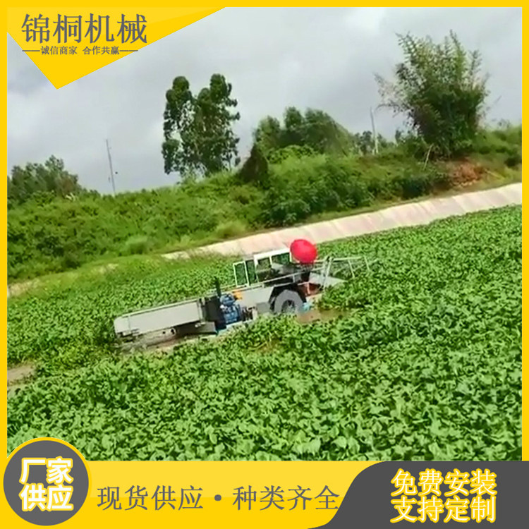 市政自动水草收割机价格 出售水浮莲打捞设备 液压河道保洁船厂家