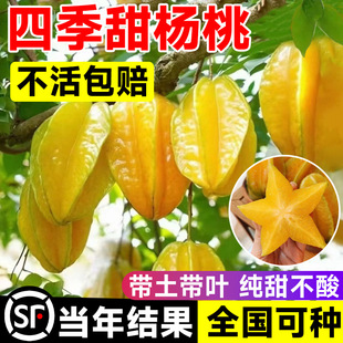 �ļ�����Ҙ�����÷����S�Ҙ�����������Ϸ������Nֲ���F����