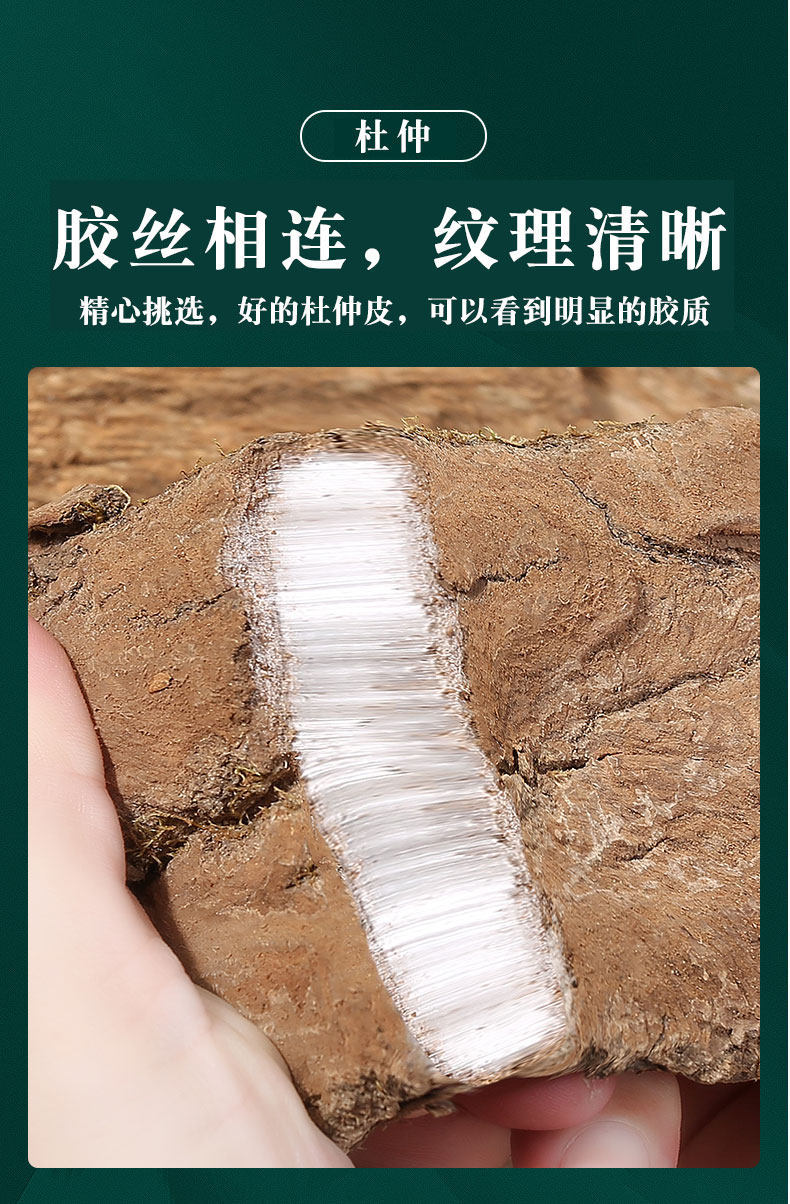 Wild Eucommia Bark 500g Du Zhong Dried Herbal Bark for Soup Wine and Tea overview