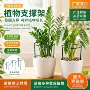 植物固定半圆铁艺花花卉