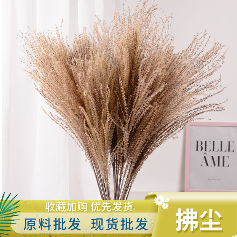 Yunnan factory direct supply dried flower small Reed dust eternal flower indoor home flower arrangement bouquet ornaments large quantity excellent price