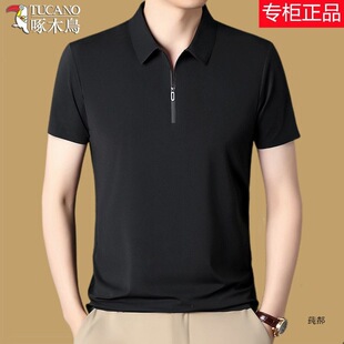��ľ�B����T�������귭�I�����polo���ļ����e���ɱ��z�o���w��