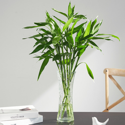 Manufacturer's straight hair transparent simple hydroponic rich bamboo glass vase crystal living room flower arrangement dried flower ornaments