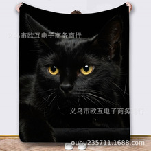 �����R�d����վ�����R ؈�� ��ɫ؈���m�q ��ͯ���˹��նY��̺��