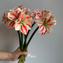 �����m��피t���滨�ҾӾƵ��c�����b������յ��߼ٻ�