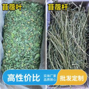 ��ޣ���~�����ӼZ�ݸɲݺ������ʳ������Zʳ���ޗU�üZ�ɲ����