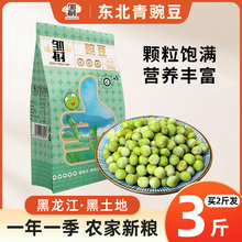 買2發3斤東北青豌豆新鮮五谷雜糧搭配黃豆紅豆煮粥豆類粥原料