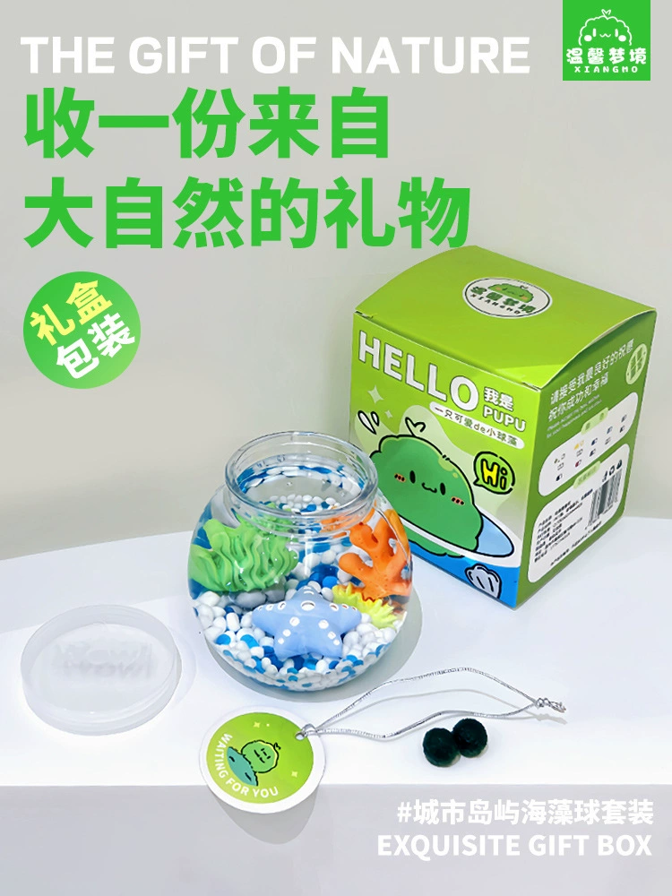 marimo海藻球城市岛屿微景观生态瓶办公室水培植物绿球藻营养液