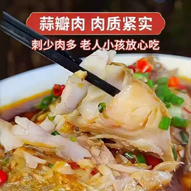 鱼类;腌制水产品;腌腊类