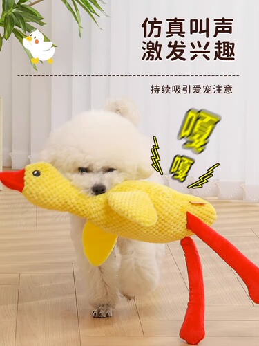 Plush dog toy to relieve boredom, pet puppy vocalization, teeth grinding, bite resistance, Corgi Teddy, Bichon Frize puppy supplies